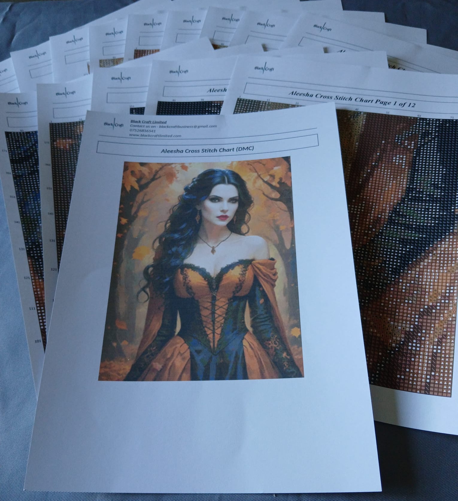 Aleesha Cross Stitch Chart (DMC)