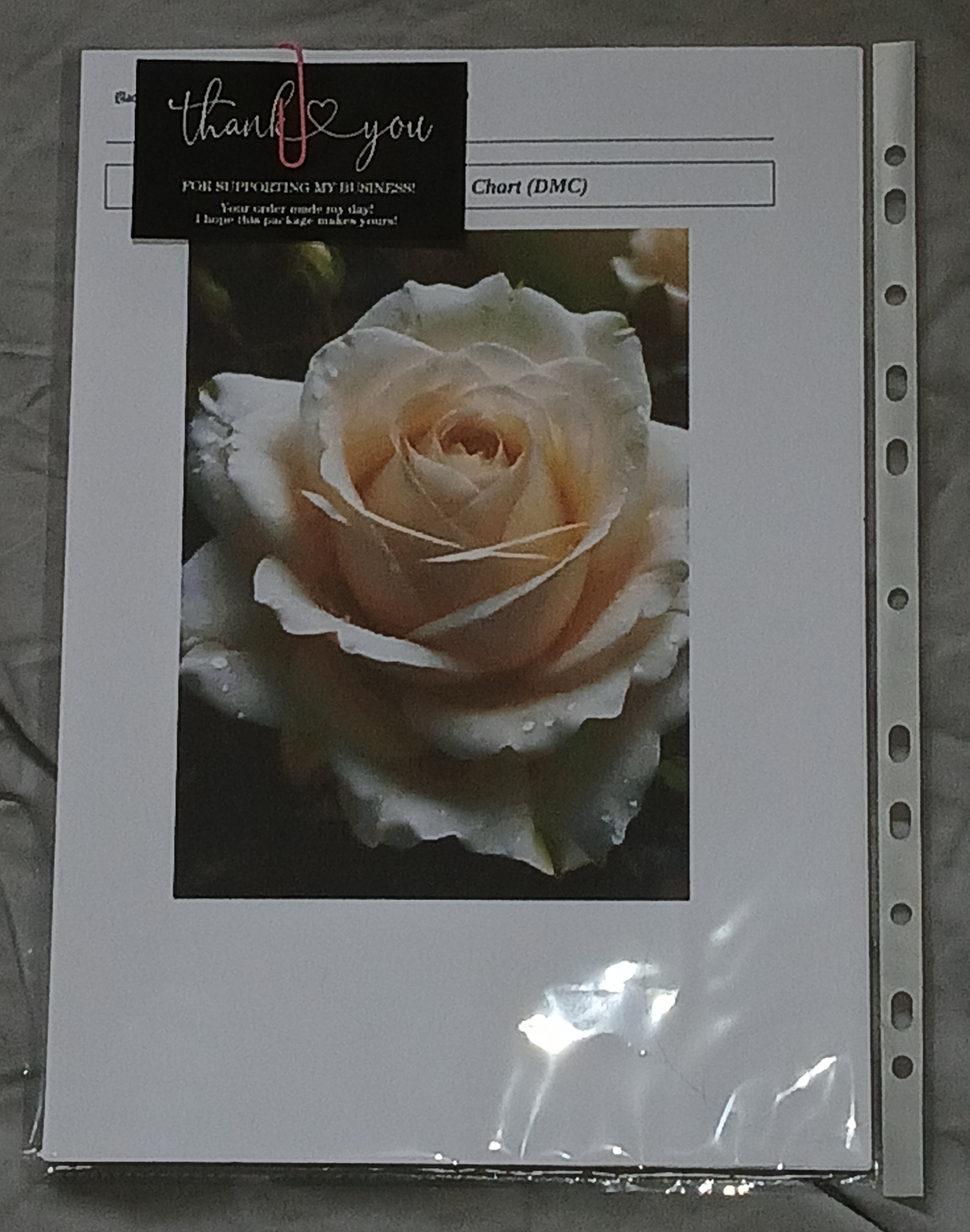 Iceburg Cross Stitch Chart (DMC)